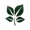 MintBranding logo
