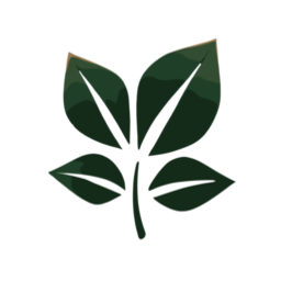MintBranding logo
